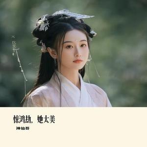 惊鸿劫，她太美
