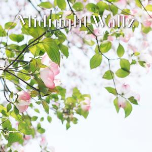 Midnight Waltz