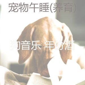 第一(睡狗)