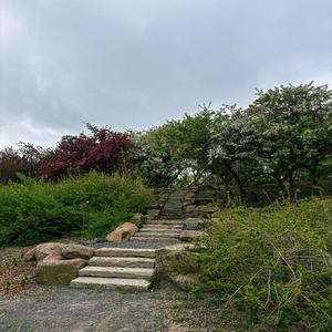 Charm (feat. Trenton Paxton)