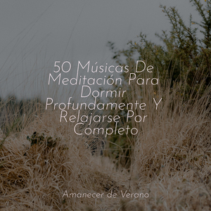 Ritmos de gotas de lluvia recordando