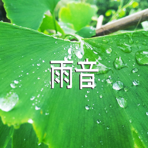 雨音、パート17