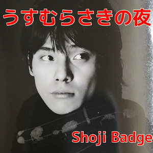 うすむらさきの夜