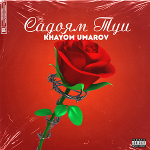 Садоям туи