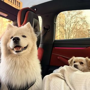 奇妙能力歌吉他翻唱