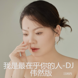 我是最在乎你的人(DJ伟然版)