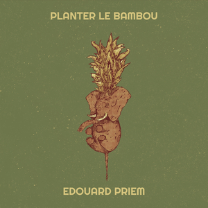 Planter le bambou