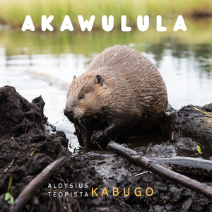 Kanziruke Ekibuga