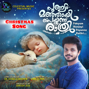 Punyam Manjayi Peyunna Rathri