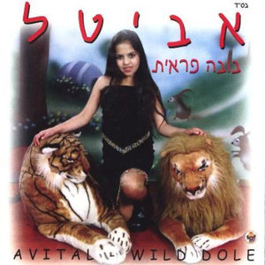 מגמיקס משירי אביטל