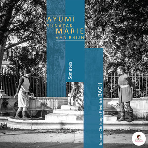 Sonata Pour Traverso & Clavecin IV en Do Majeur, Hw VIII/3.4: III. Tempo di minuetto