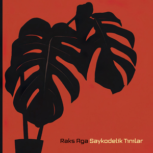 Saykodelik Tınılar