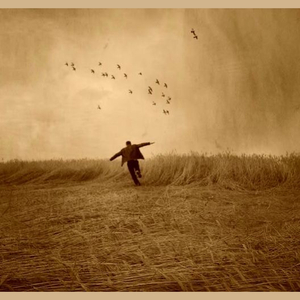 Mecnuna Dönmüşüm