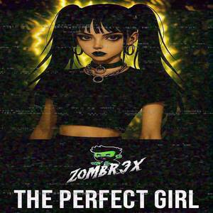 THE PERFECT GIRL (FUNK REMIX)