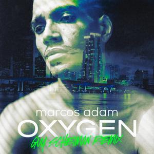 Oxygen (Guy Scheiman Remix)