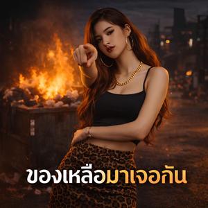 ของเหลือมาเจอกัน