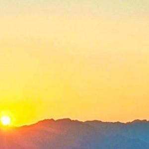 突如其来的寂静