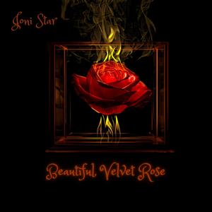 Beautiful, Velvet Rose