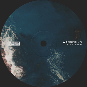 Wandering (Original Mix)