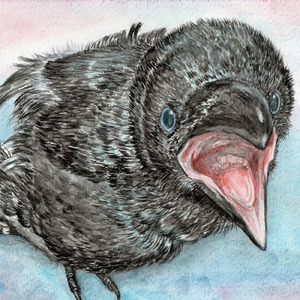 つんつんハッピー