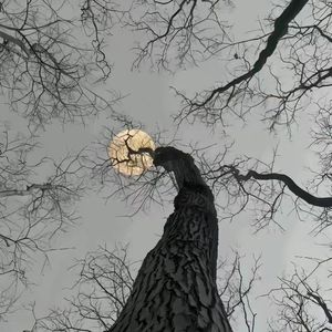 夜空中最亮的星