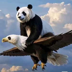 《逆风飞翔》_阿错
