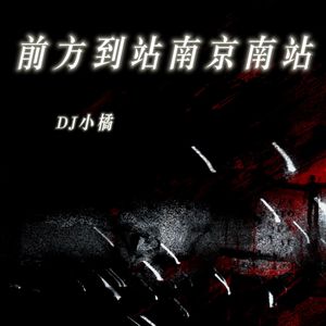 前方到站南京南站