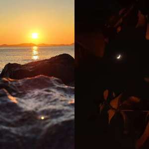 五月二十日，梦，见你