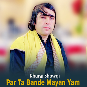 Zma Sara Yow Tasweer Kho Wakhla