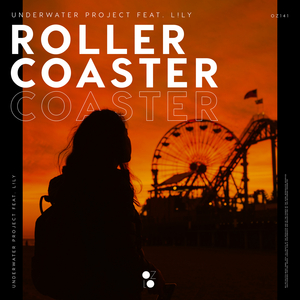 Rollercoaster (Extended Mix)