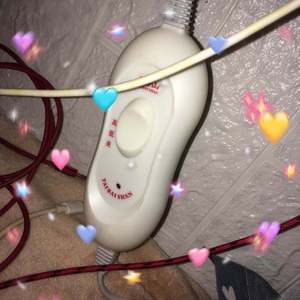 你捡到树叶不吃树叶是不道德的行为。