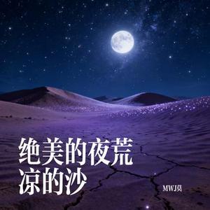 绝美的夜荒凉的沙