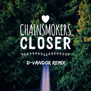 Chainsmokers - Closer (D-Vandor Remix)