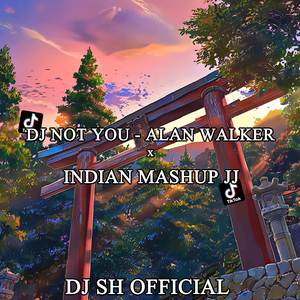 Dj Not You x Indian Mashup JJ