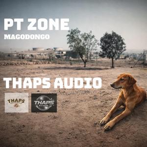 PT/ZONE [Magodongo]