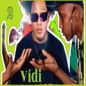 Vidi