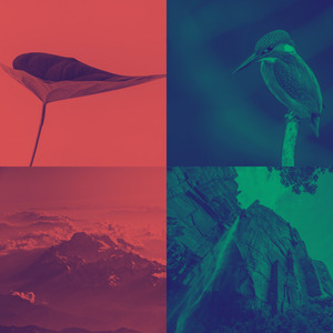 温和积极情绪梦想