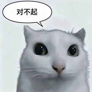 忘不掉她（如果我能将那误会解开）