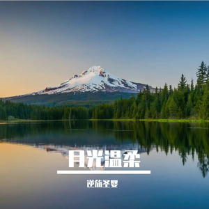 月光温柔
