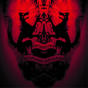 Opętani Kultem Nocy