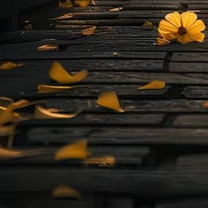 瓷釉凝霜序