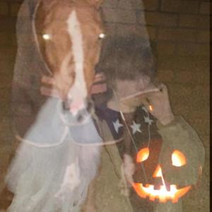 WITCHTRAP (HALLOWEEN exclusive)