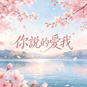 你說的愛我