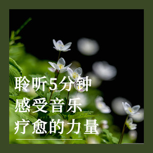 短暂的宁静时刻 (八音盒)