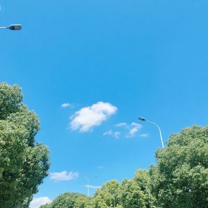 晨曦温柔唤醒你