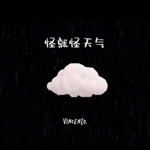 怪就怪天气（赵小宝Tiboi remix）