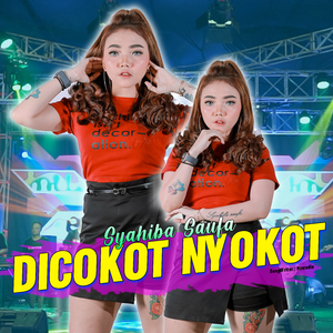 Dicokot Nyokot