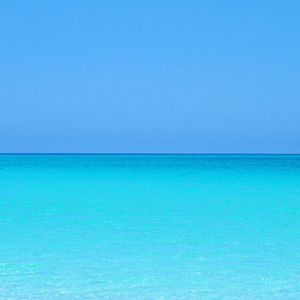 So Much Trouble in the World