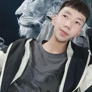 念君几时归-木三岁（翻自 木三岁）