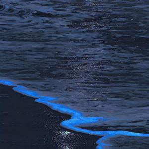 海底（温柔正太版）（翻自 一支榴莲）